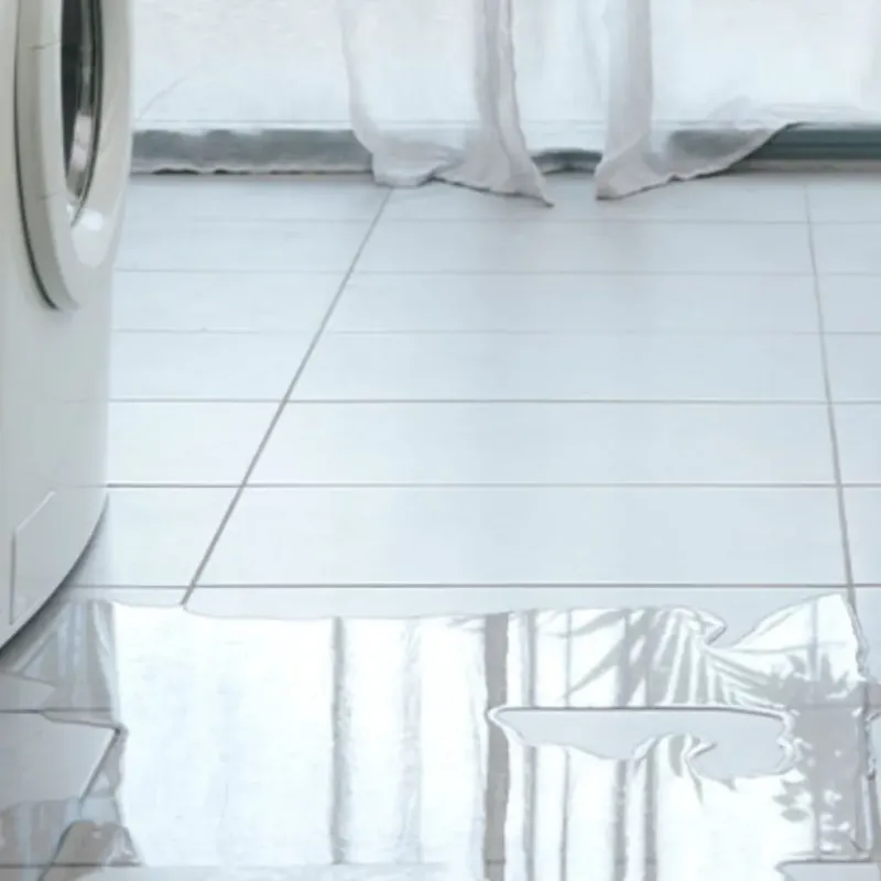Appliance Leak Cleanup in Bland, VA