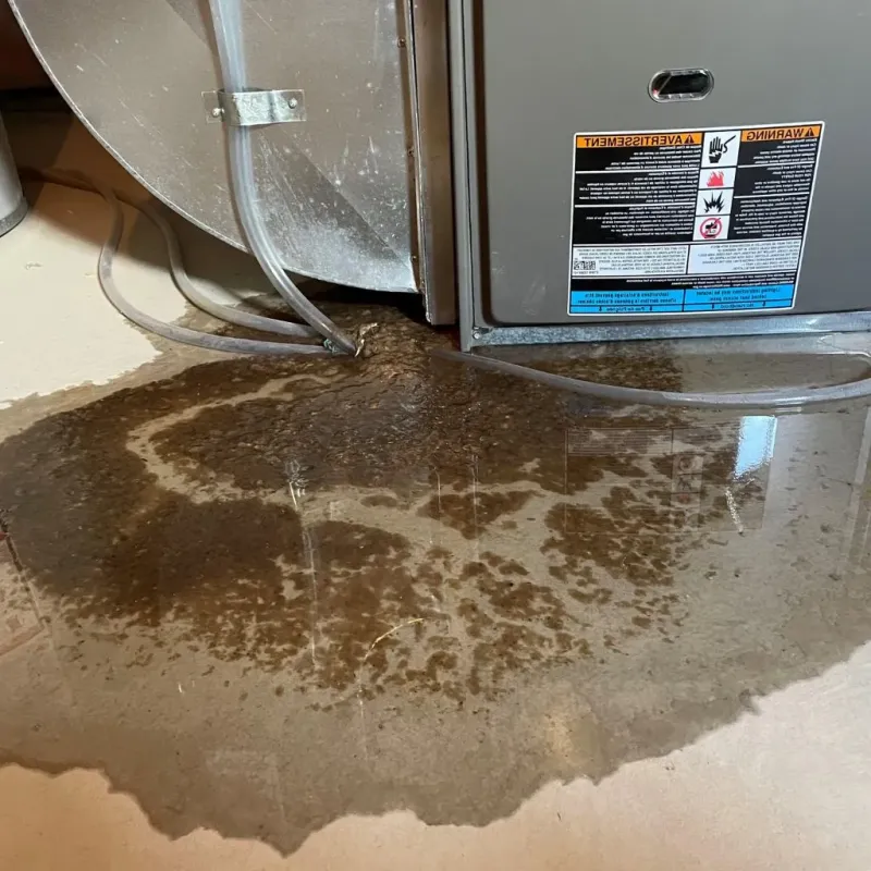 Pipe Burst and Leak Restoration in Bland, VA